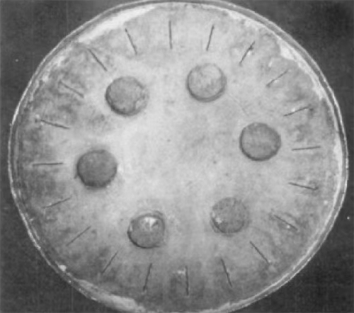 連鑄用功能耐火材料的現(xiàn)狀及發(fā)展趨勢